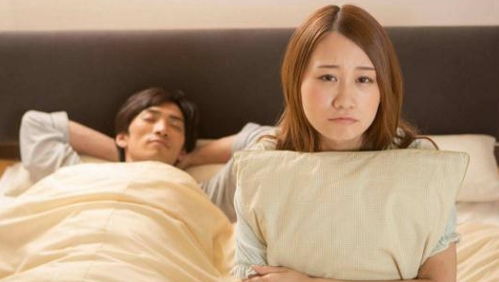 离婚后前夫日日求复合，爱恨交织的复婚之路--第1张
