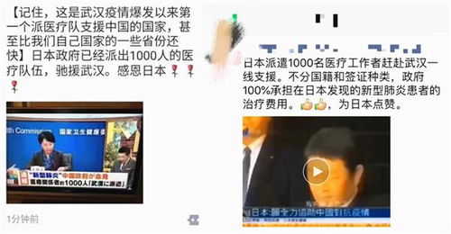 六个大佬的心尖宠终于离婚了免费阅读--第1张