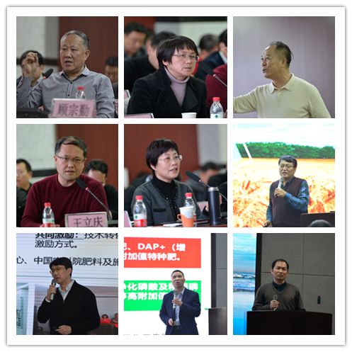 顾总宋秘书要去父留子了短剧全集剧情信息 顾总的全名--第1张