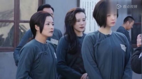 雀笼短剧全集剧情信息 电视剧雀笼--第1张