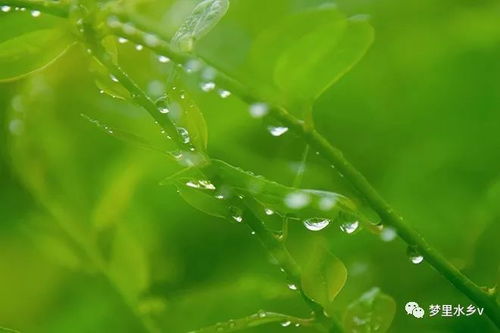 春雨无声的秘密--第1张