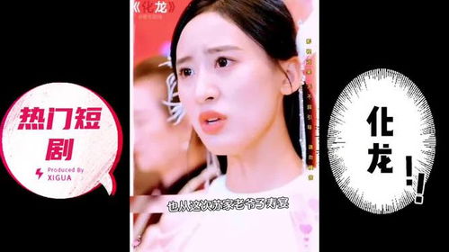 真龙百度 真龙短剧全集剧情信息--第1张