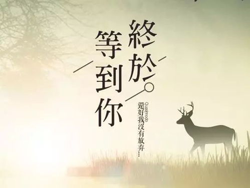 叶总来生不愿再相见，爱恨情仇的纠葛--第1张