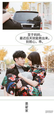 翻墙逃婚萌妻休想逃的剧情简介--第1张
