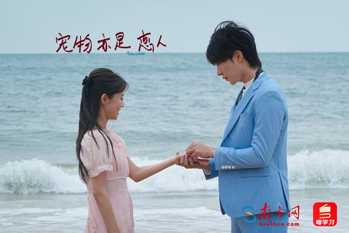 傅总的心上宠儿--第1张