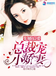最强保镖俏总裁，总裁来抢婚 全集剧情信息--第1张