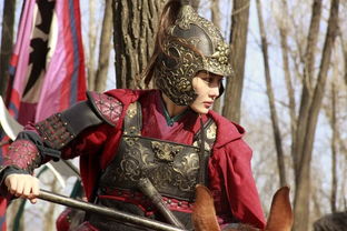 女将军嫁人是什么电视剧 女将军娶个乞丐当王妃短剧全集剧情信息资讯--第1张