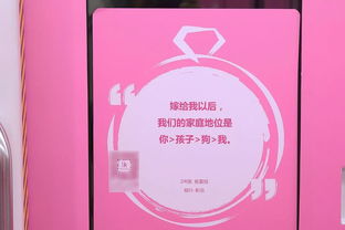 领证当天被甩，豪门老公索吻短剧全集剧情--第1张