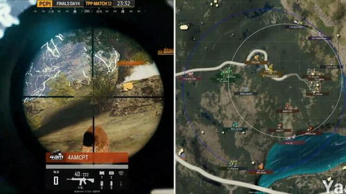 孤注一掷之绝地求生长篇短剧全集剧情信息资讯短剧全集剧情信息资讯 --第1张