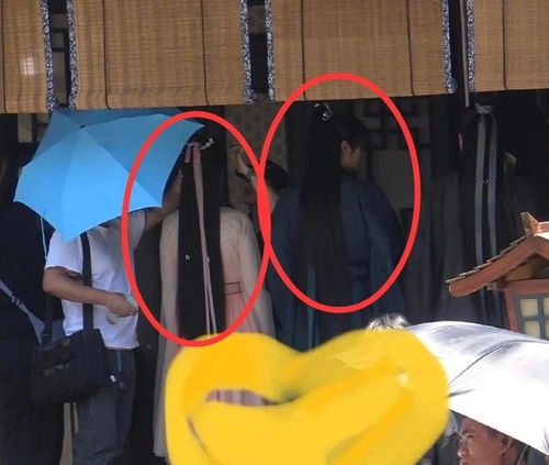 伍昕宇短剧全集，全网黑的我靠综艺逆袭成CP之王剧情介绍--第1张