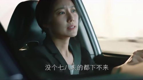 霆少的心尖宠回国了免费阅读 霆少夫人假死后偷生三个娃短剧全集剧情信息资讯--第1张