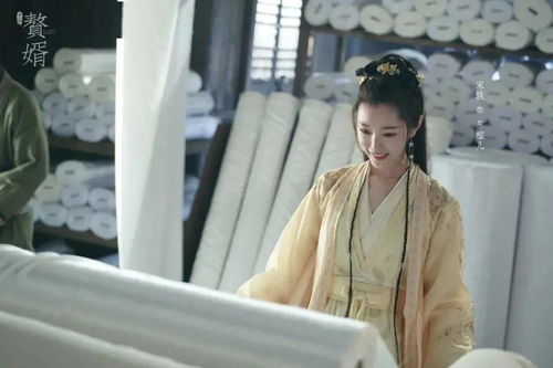 赘婿大结局美好吗_赘婿大结局如何--第1张