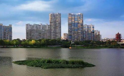 园区风云短剧全集剧情信息，园区风景图--第1张