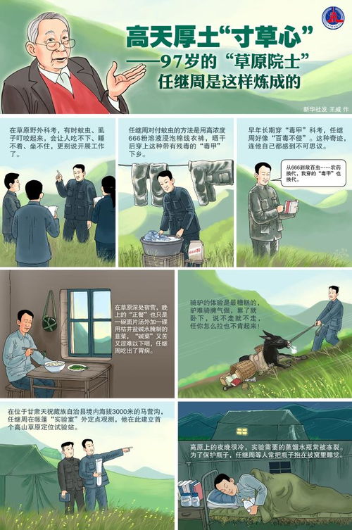 谁言寸草心，全集--第1张