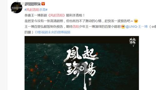 凤起萧墙之短剧全集剧情信息资讯--第1张