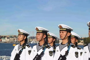 为大国者 大国功臣我为大夏铸剑短剧全集剧情信息资讯--第1张
