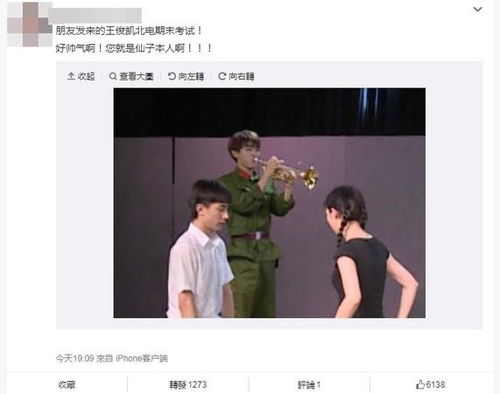 傅总的白月光回来了，王子怡短剧全集剧情信息资讯--第1张