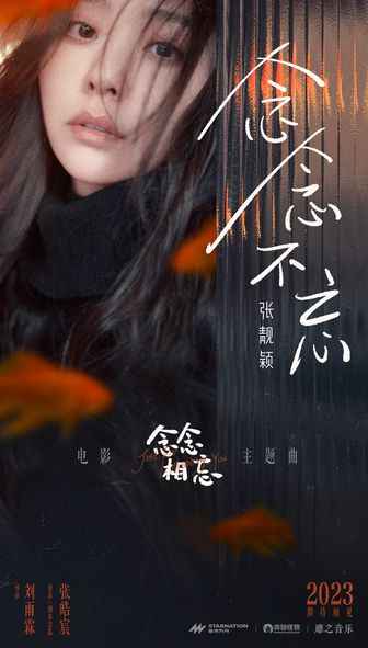 念念不相忘短剧全集剧情信息资讯 念念不相忘讲的是什么--第1张