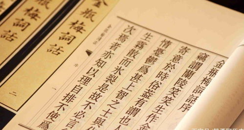 赠你一世情深，李胜楠短剧全集剧情信息资讯--第1张