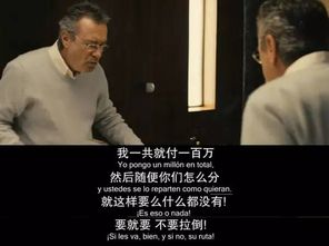 离婚后三个大佬都要娶我短剧全集剧情信息资讯 离婚后三个大佬狂追我免费阅读--第1张