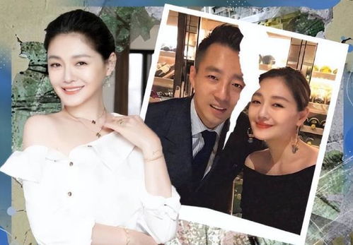 离婚后的明星夫妻 离婚后大明星老婆后悔了短剧全集剧情信息资讯--第1张