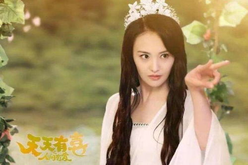 真千金她又美又飒短剧全集剧情信息资讯--第1张