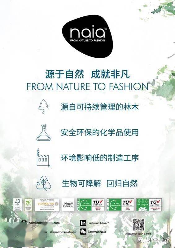 相思不似相逢好免费阅读剧情简介--第1张