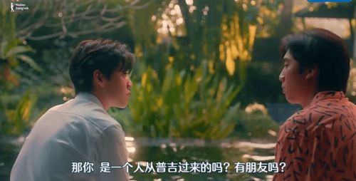 仙帝归来当赘婿短剧全集剧情信息资讯，电视剧演员表--第1张