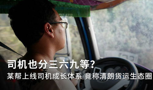 废后要翻身免费阅读 废后要翻天短剧全集剧情信息资讯--第1张
