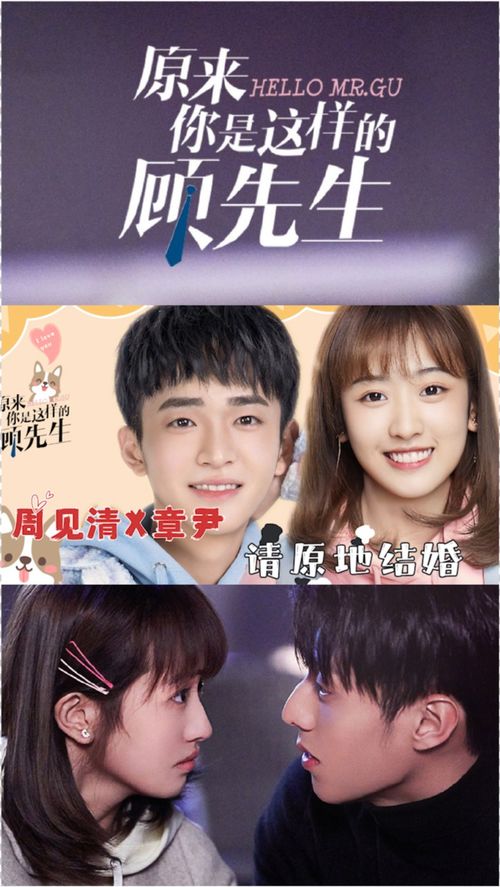 顾先生的小温柔免费阅读免费观看顾先生的小娇宠短剧全集剧情信息资讯--第1张