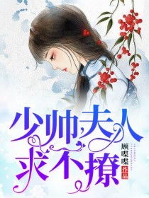 少帅夫人有点甜免费阅读全集剧情简介--第1张
