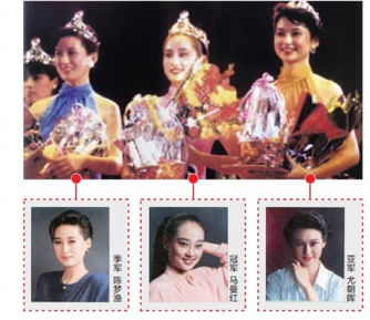 千金归来她带着四宝惊艳全城，全集剧情信息资讯--第1张