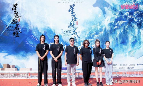 鉴宝无双短剧全集剧情信息资讯，鉴宝无双电视剧的剧情简介--第1张