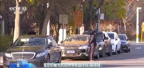 狂飙打工人，全集剧情信息与精彩瞬间--第1张