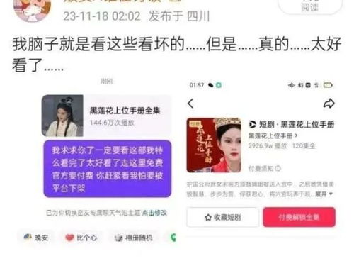 新顾总太狠了，您拉黑了短剧全集剧情信息资讯--第1张