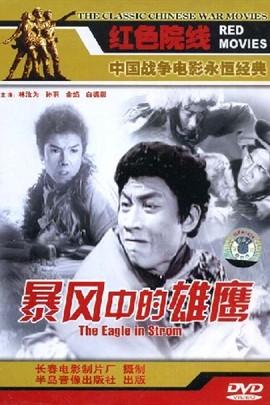 爱在狂风暴雨之后短剧全集剧情信息资讯 爱在暴风的日子百度百科--第1张