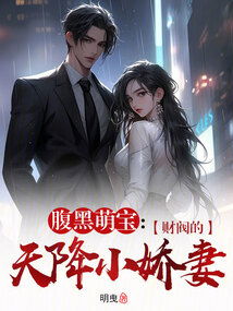 财阀小娇妻短剧全集剧情信息资讯 财阀小子--第1张