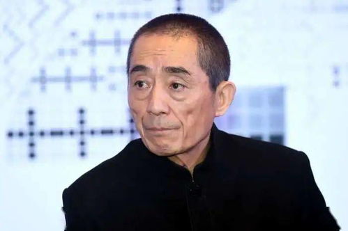 金总夫人真千金短剧全集剧情信息资讯 金总金太太是什么电视剧--第1张