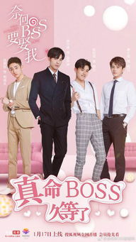 奈何boss要娶我电视剧全集剧情信息资讯--第1张