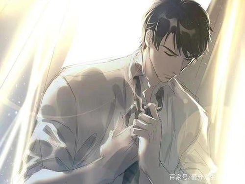 离婚后前夫总是想追我免费阅读小说结局 离婚后前夫总是想追我--第1张