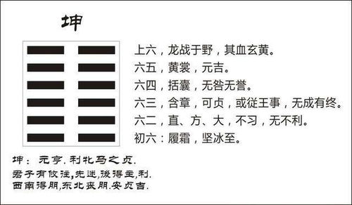 卦妃天下免费阅读，卦妃天下短剧全集剧情--第1张