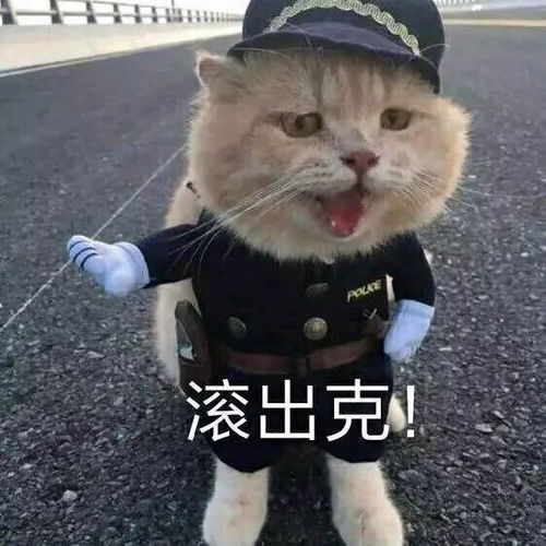 它喵的我才不要当女一~短剧全集剧情信息资讯 --第1张