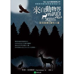 来自深山的馈赠 来自深山的凝望长篇短剧全集剧情信息资讯--第1张