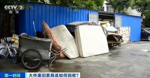 陛下我真的只想花钱啊短剧全集剧情信息资讯 陛下只爱我一个--第1张