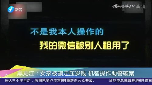 火种短剧全集剧情信息资讯 火种短剧全集剧情信息资讯在哪看--第1张