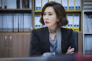 前妻综艺 前妻再见游雅李可馨赵琪琪短剧全集剧情信息资讯--第1张