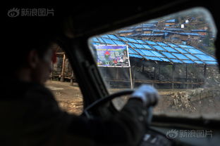 逃出生天，缅北之王短剧全集，揭秘生死逃亡的传奇人生--第1张