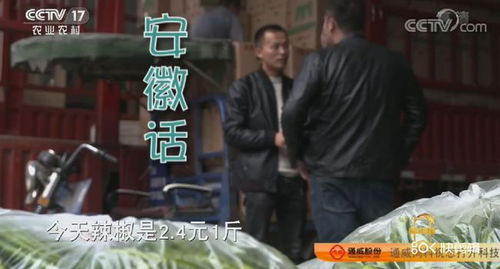 逆袭小子混的风生水起短剧全集剧情信息大全 小伙子逆袭--第1张