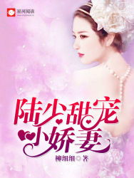  陆总的漫漫追妻路，陆少的霸爱小娇妻--第1张