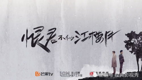 恨君不似凉州月短剧全集剧情信息大全 恨君不似全文阅读--第1张